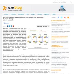 APPRENTISSAGE: Ces cellules qui verrouillent nos souvenirs – Current Biology