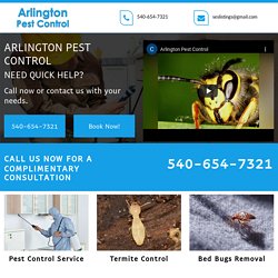 Affordable Wasps Removal Company Near Me in Arlington County VA