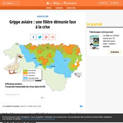 Grippe aviaire : une filière démunie face à la crise - La République des Pyrénées.fr