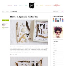 DIY Beach Specimen Shadow Box