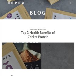 Top 3 Health Benefits of Cricket Protein - Hoppa