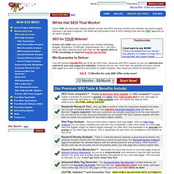 Search Engine Optimization - SEO Tools