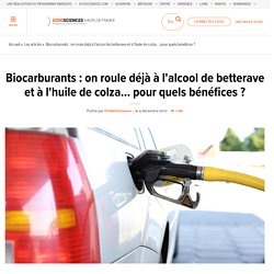 Biocarburants : on roule déjà à l'alcool de betterave et à l'huile de colza... pour quels bénéfices ?