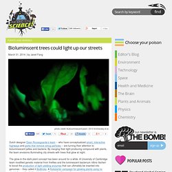 Bioluminscent trees could light up our streets