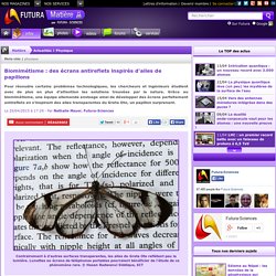 Biomimétisme : des écrans antireflets inspirés d'ailes de papillons