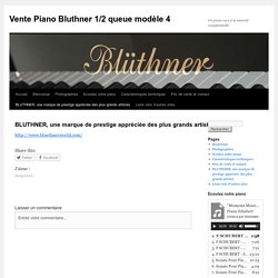 BLUTHNER, une marque de prestige appréciée des plus grands artistes