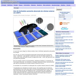 Asa de borboleta aumenta absorção de células solares em 200%
