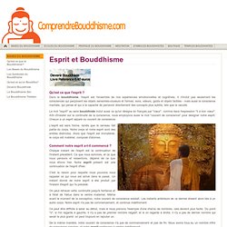 Esprit dans le Bouddhisme - Relation entre l'Esprit & Cerveau