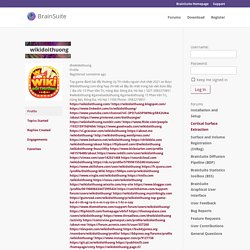 BrainSuite