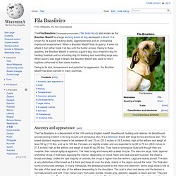 Fila Brasileiro