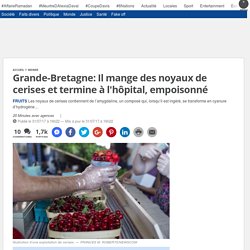 Grande-Bretagne: Il mange des noyaux de cerises et termine à l'hôpital, empoisonné