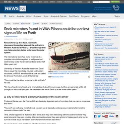 Rock microbes found in WA's Pilbara could be earliest signs of life on Earth