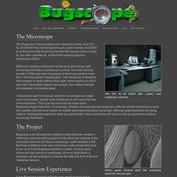 Bugscope: Project Overview