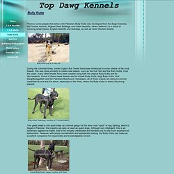 Bully Kutta