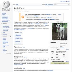 Bully Kutta