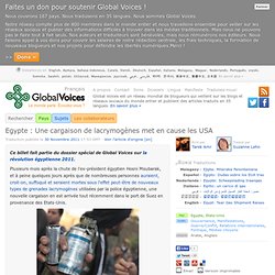 Egypte : Une cargaison de lacrymogènes met en cause les USA