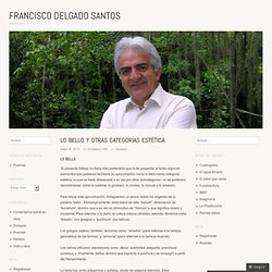 Lo bello y otras categorías estética