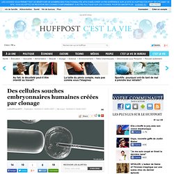 Des cellules souches embryonnaires humaines créées par clonage