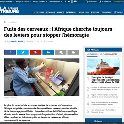 Fuite des cerveaux : l'Afrique cherche toujours des leviers pour stopper l'hémoragie