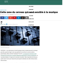 Cette zone du cerveau qui rend sensible à la musique