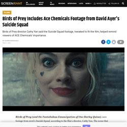 Birds of Prey Uses Ace Chemicals Footage from Ayer's Suicide Squad