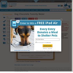 Chocolate Toxicity Meter