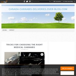 Tricks for Choosing the Right Medical Cannabis