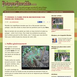 7 choses à faire pour bichonner vos pieds de tomates -