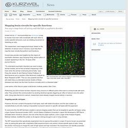 Mapping brain circuits for specific functions