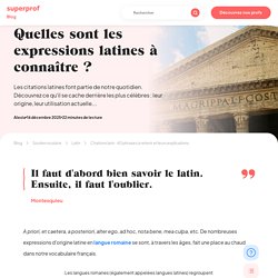 Citations Latin : 33 Phrases à Retenir !