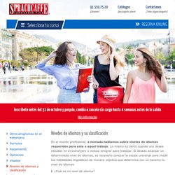 Niveles de idiomas y clasificación