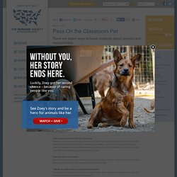 Pass On the Classroom Pet