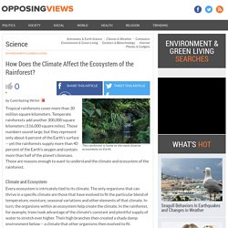 How Does the Climate Affect the Ecosystem of the Rainforest?