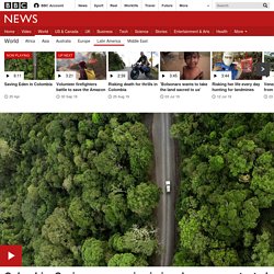 Saving Eden in Colombia