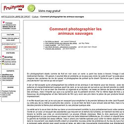 Comment photographier les animaux sauvages