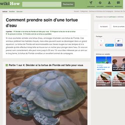 Comment prendre soin d'une tortue d'eau: 19 étapes