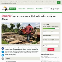 Stop au commerce illicite du palissandre au Ghana
