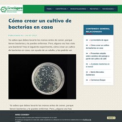 Cómo crear un cultivo de bacterias en casa -