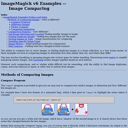IM v6 Examples