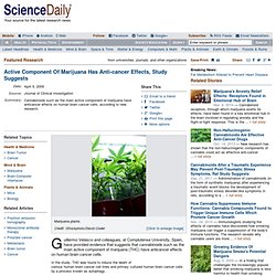 Active Component Of Marijuana Has Anti-cancer Effects, Study Suggests