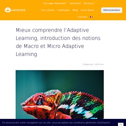 Mieux comprendre l’Adaptive Learning, introduction des notions de Macro et Micro Adaptive Learning