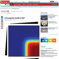 A Computer Inside a Cell