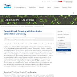 Targeted Patch Clamping with Scanning Ion Conductance Microscopy
