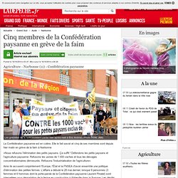 Cinq membres de la Confédération paysanne en grève de la faim - 16/10/2014