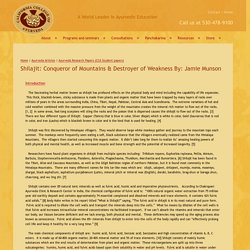 Shilajit: Conqueror of Mountains & Destroyer of Weakness By: Jamie Munson