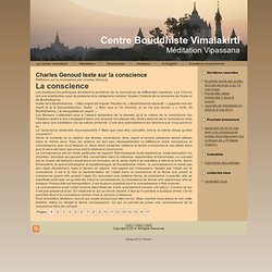 Réflexion sur la conscience