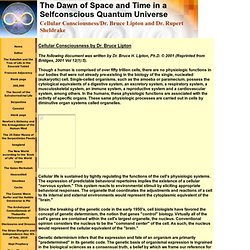 Cellular Consciousness/Dr. Bruce Lipton and Dr. Rupert Sheldrake