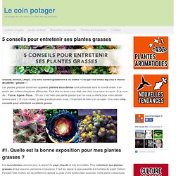 5 conseils pour entretenir ses plantes grasses - Le coin potager