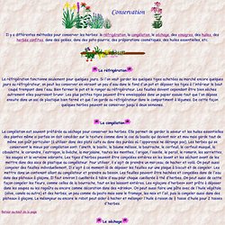 Conservation des herbe: réfrigération, congélation, séchage, etc.