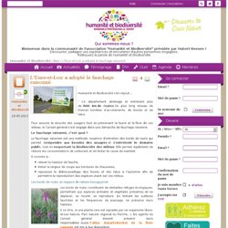 Trame Verte et Bleue, continuités écologiques